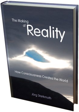 The book 'The Making of Reality'